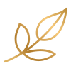 disegno fogliolina oro
